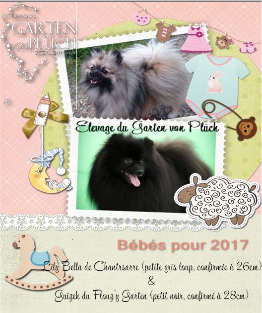 Du Garten Von Pluch - Des bébés vont pointer le bout de leurs nez 